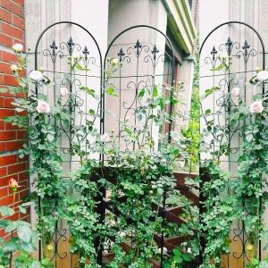 클레마티스 지지대 장미 식물 넝쿨 스탠드 울타리 펜스 정원 꾸미기