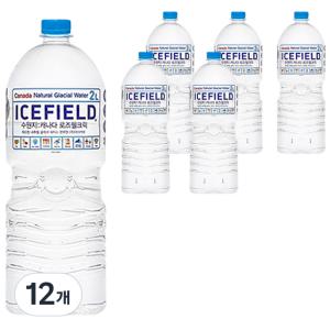 아이스필드 캐나다 빙하수 2L 12개 물 워터 생수 먹는물