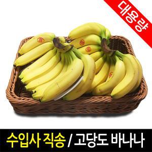 [익스프레쉬]고당도 바나나 13kg (6-9수) 대용량 벌크