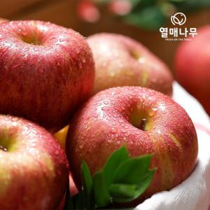 [열매나무] 못난이 사과 3kg 9~16과