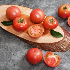 영양만점 국내산 찰 토마토 3kg 실중량/소과~대과