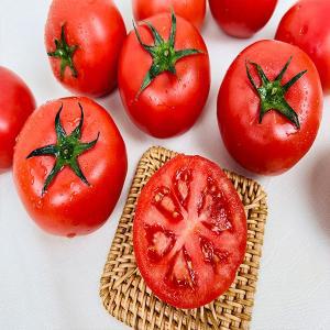 [농부곳간]국내산 완숙 찰 토마토 3kg 4-5번과 소과 주스용