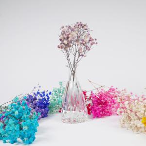 프리저브드 플라워 안개꽃 빈티지보라 말린꽃 하바리움 만들기 재료