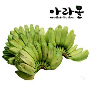 필리핀 그린 사바바나나 (Green Saba Banana) 6kg