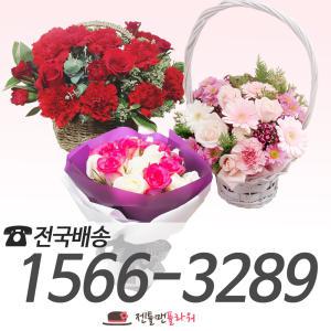 생화 꽃바구니 장미 카네이션 꽃다발 축하 꽃배달