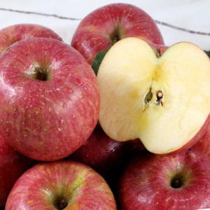 [롯데백화점]친환경팔도 과즙가득 의성 흠집 사과(중) 10kg