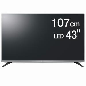 LG 43인치 LED 풀HD TV 43LX310C