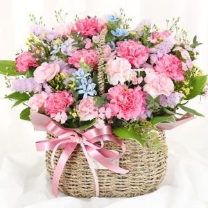 당일 꽃배달 감사의 마음 카네이션 꽃바구니 생화 배달 A2013