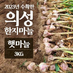 2023년산 의성마늘 햇마늘 3kg 마늘 농사 3대째