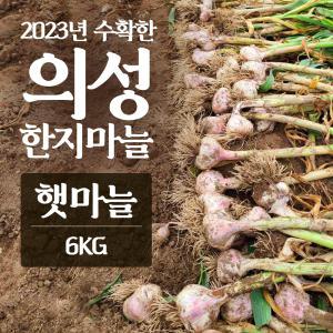 2023년산 의성마늘 햇마늘 6kg 마늘 농사 3대째