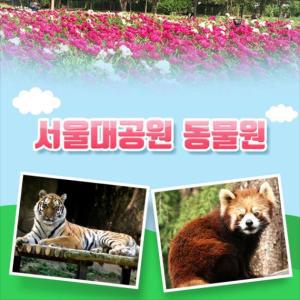 [과천] 서울대공원 동물원 입장권 (당일사용불가)