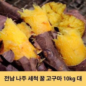 전남 나주 세척 햇 꿀 고구마 베니하루카 10kg 대