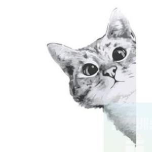 1개 DIY 쉬운 명화 유화 캔버스 그리기 세트 감시하는 고양이 40x50 집콕 취미 생활