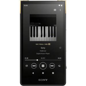 소니 워크맨 64GB NW-ZX707 MP3 플레이어