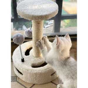 소형캣타워 카펫 캣워커 놀이터 캣폴 고양이 고양이가구