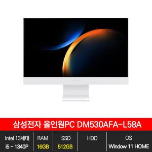 삼성 올인원PC DM530AFA-L58A WIN11/16GB/512GB/EL
