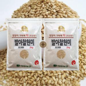 23년 햅쌀 국산 발아 찰현미 4kg(2kgx2) 찹쌀현미 현미밥 잡곡