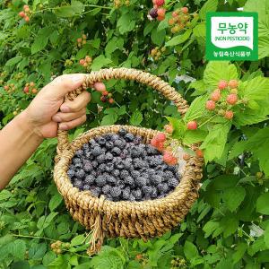 [롯데백화점]친환경팔도 전남 보성 무농약 토종 복분자(급냉) 4kg