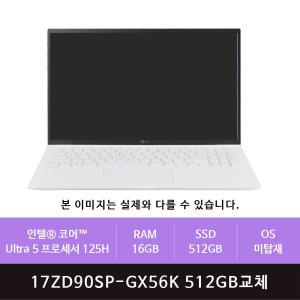 LG 그램 프로17 17ZD90SP-GX56K 512GB교체(zoaa)