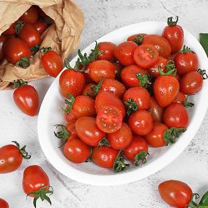 [감동]대추 방울 토마토 2kg 4-5번과