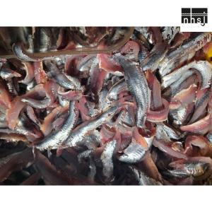 남해미조 2024년 생멸치 멸치회 찌개 쌈밥 200g 4팩 (소스포함) 간편한 건강한 안전