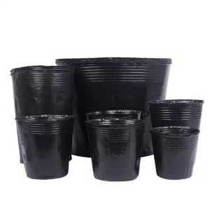 대형 비닐 화분 포트 대용량 플라스틱 묘목 컵 100개