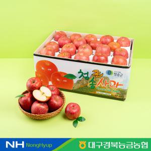 [경북능금농협] 경북 청송 사과 가정용 10kg 대용량 흡집