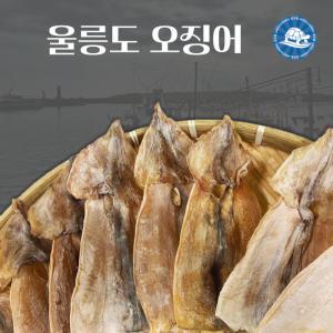 울릉도 오징어 (10마리) 500g내외 /마른오징어
