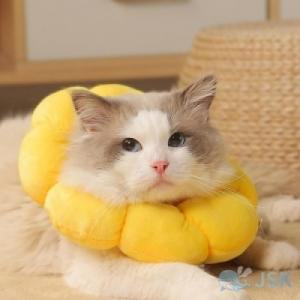 고양이 넥카라 깔대기 노랑 소S JS00600