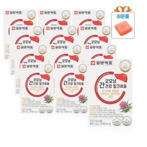 일양약품 간건강 밀크씨슬 간영양제 30정 12통(알약케이스포함) 간건강실리마린 GT