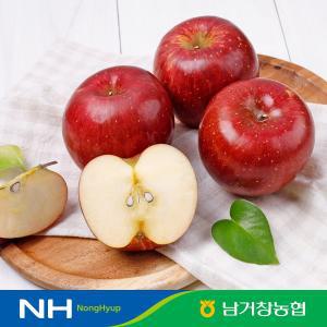 갤러리아 [남거창농협]아삭아삭 달콤 꿀 사과 5kg(대과)14-16과 내외
