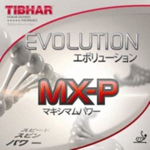 티바 MX-P 에볼루션 평면러버