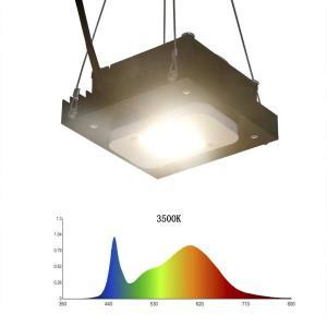 풀스펙트럼 LED 성장 조명, LM283B + 고휘도 램프, 온실 식물 햇빛