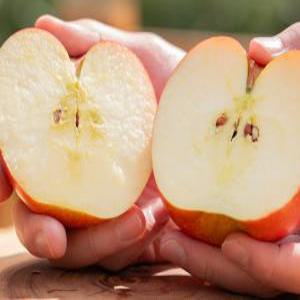 [과일촌아재] 청송 꿀사과 부사 사과 가정용 실중량 4.5kg