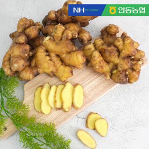 [안동농협] 씻어나온 향긋한 안동 명품 세척 생강 10kg
