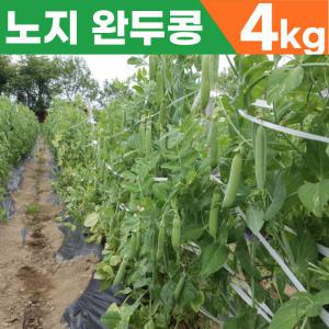 [2kg+2kg] 24년산 국산 자연산 노지 햇 생 껍질 완두콩