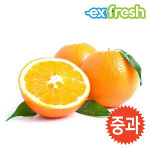 [익스프레쉬]썬키스트 블랙라벨 고당도 오렌지 특대과 12입 3.6kg