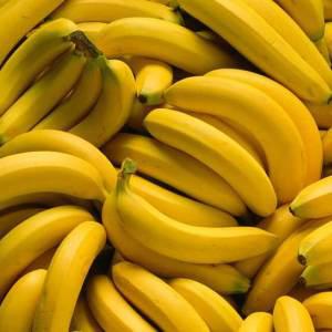 [장보리]경남 산청 국내산 바나나 2.5kg