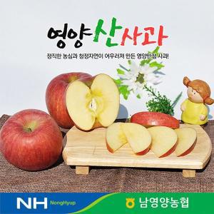 [더자연][하프클럽/더자연]경북 영양농협 사과 10kg 미세기스 48-52과내외/꼬