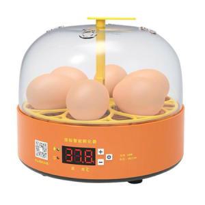 퓨어 병아리 알부화기 계란 달걀 메추리 온도조절기_MC