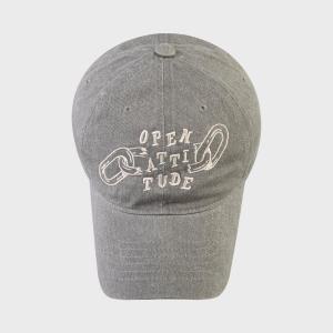 PIGMENT CHAIN BALL CAP-GRAY(피그먼트 체인 볼캡-그레이)