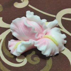 비누용 3D 아이리스 실리콘 몰드, 난초 꽃 제작 도구, 공예 캔들 설탕 케이크 신제품