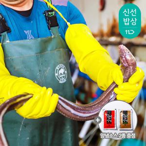 [품질보장]통영 자연산 활 바다장어1kg+소스2종/생물 손질 순살포장