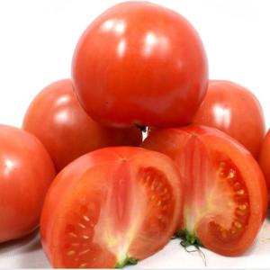 완숙토마토 정품/토마토 3kg(4-5번과)