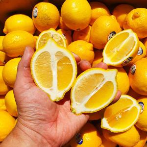 신선한 레몬 (개당 약 120g) 70과 140과 수입 제철