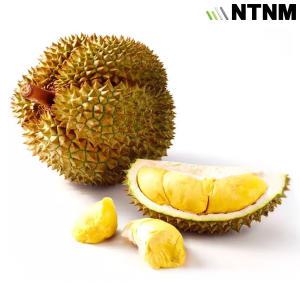 냉동 통 두리안 (Frozen Durian) 10kg about