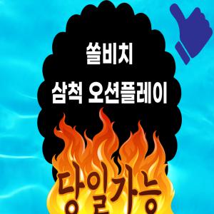 [당일가능]삼척 쏠비치 오션플레이 종일권 대인 소인 입장권