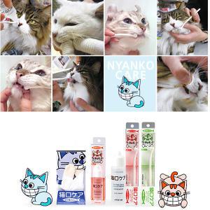일본펫브랜드 마인드업 냥코케어 고양이구강관리