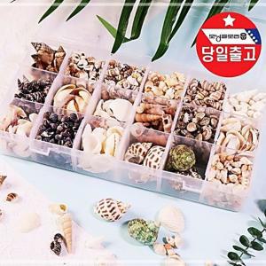 교육용 천연 자연 18종 꾸미기 DIY 바다 장식 껍질 껍데기 만들기 재료 조개 아트 레진 JIWB59659