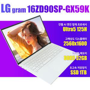 LG그램/16ZD90SP-GX59K/울트라5/NVMe SSD 1TB(교체)